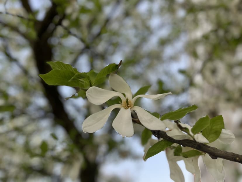 Obrázek pro Tipy na akce pro jaro 2025