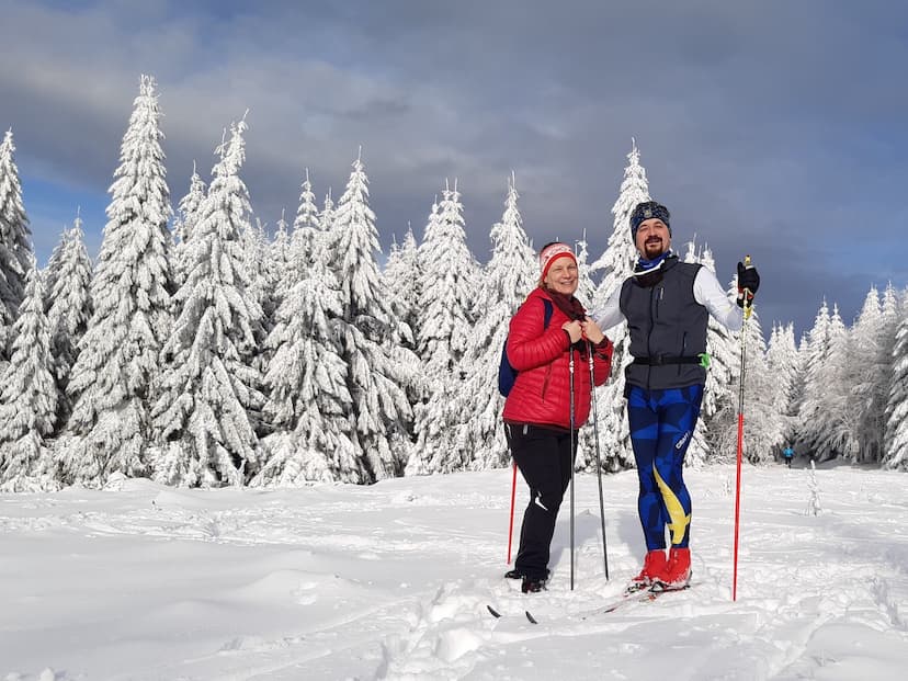Obrázek pro Pestrá scéna